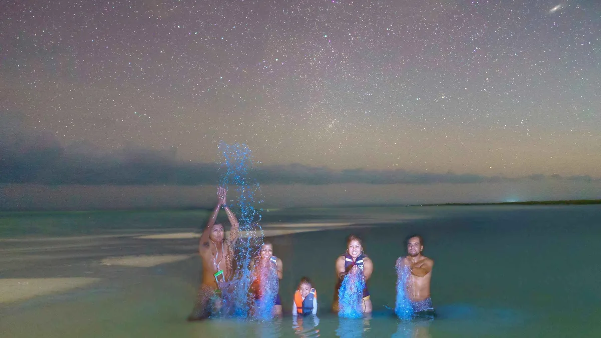 A group splashing in dark water at night under a sky full of stars